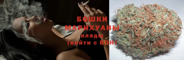 прущие грибы Беломорск