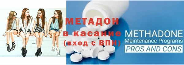 прущие грибы Беломорск