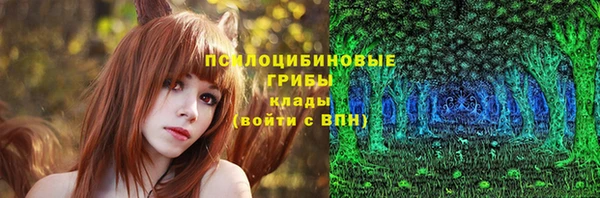 СК Бугульма