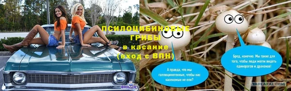 прущие грибы Беломорск