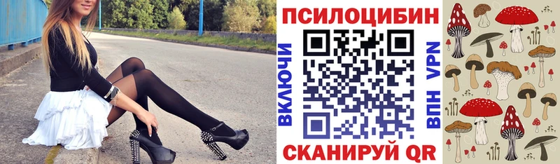 купить наркотики цена  мега сайт  Псилоцибиновые грибы мицелий  Каменск-Шахтинский 